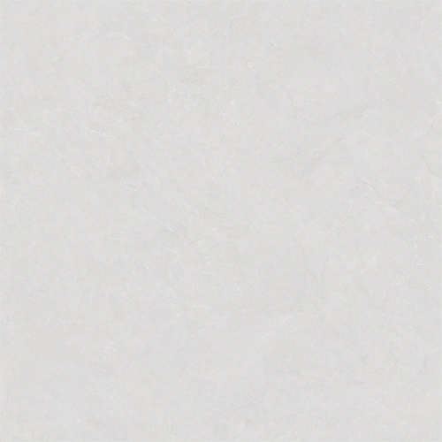 8MT2988L