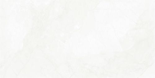 MTG2571L新寒江雪